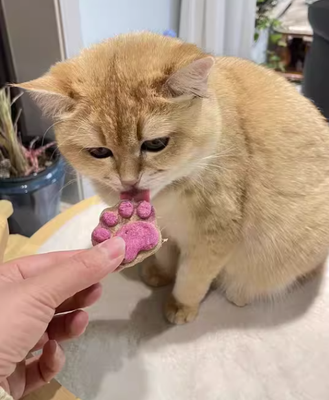 Picky Cat Approved—These Paw Treats Are a Win!