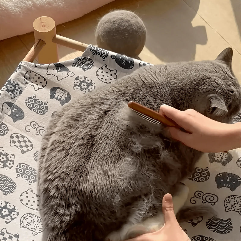 A Cat Brush That Won’t Make Your Hand Ache—It Actually Detangles Knots!