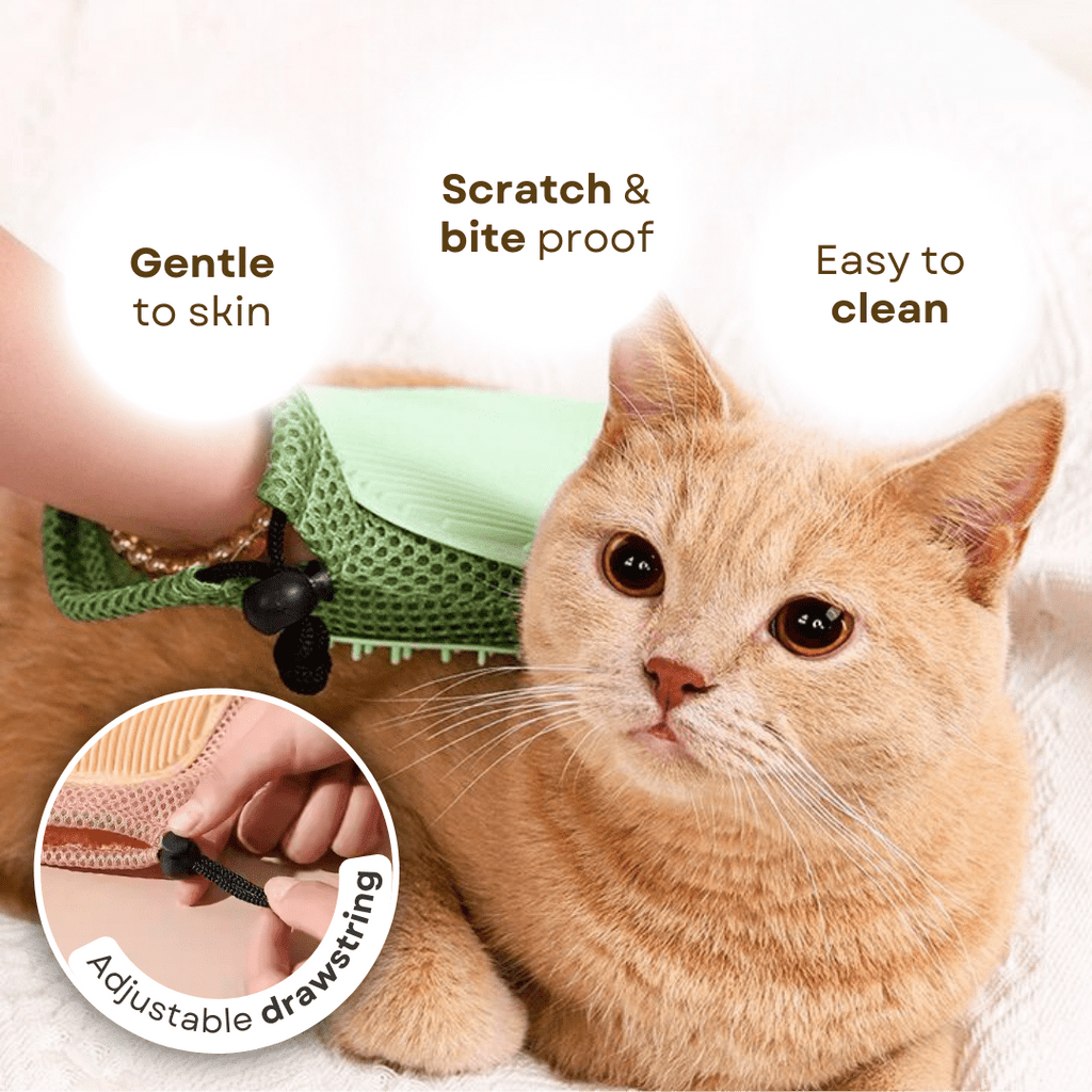 2 - in - 1 Cat Glove - MaoMao - Paws