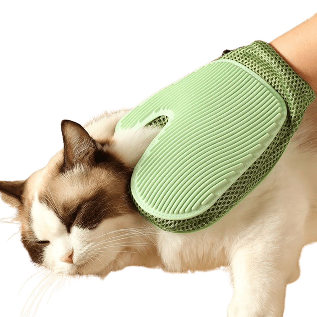 2 - in - 1 Cat Glove - MaoMao - Paws