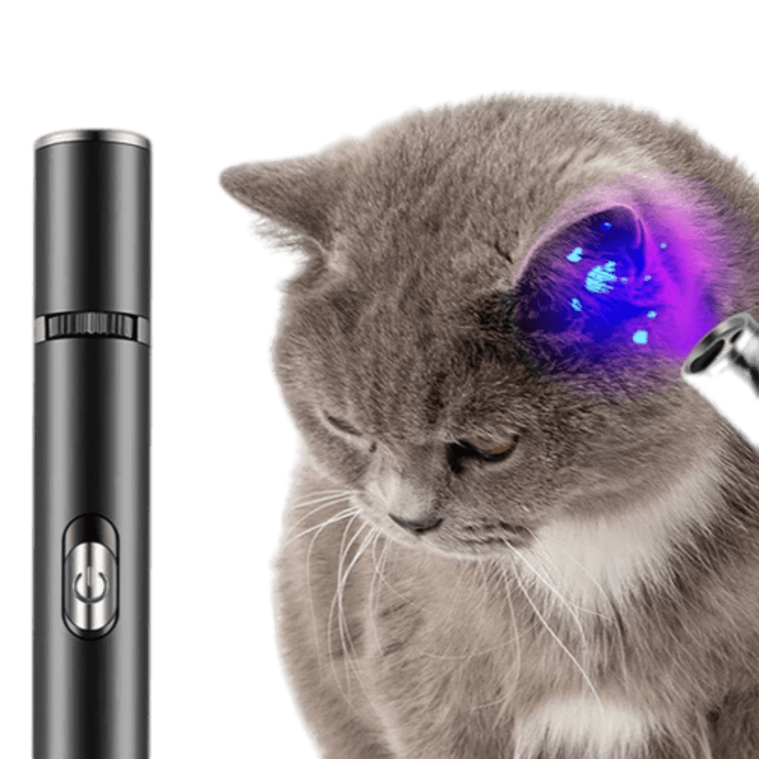 2 - In - 1 Cat Pen - MaoMao - Paws