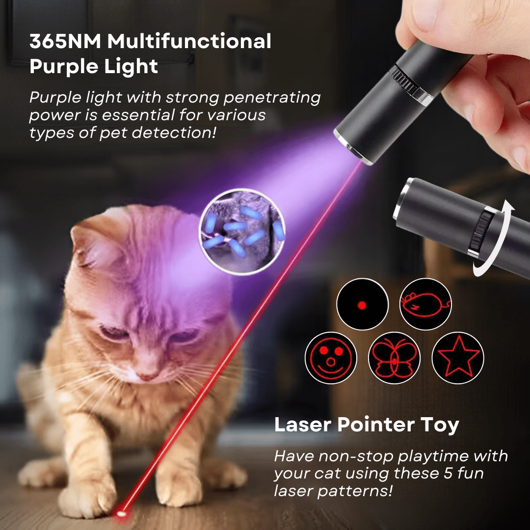 2 - In - 1 Cat Pen - MaoMao - Paws