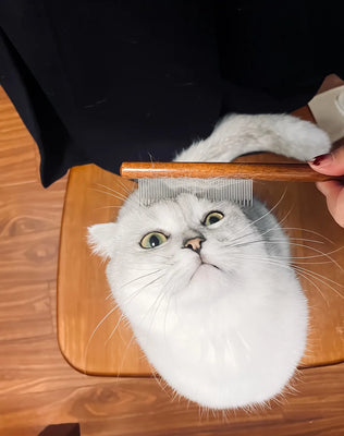 Ergonomic & Effective—Great for Long-Haired Cats!