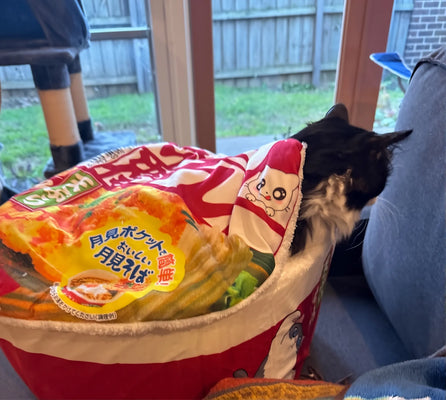 Super Cozy & Adorable—10/10 for My Kitten!