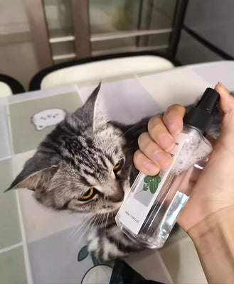 My Cat Can’t Stop Rolling in This JOYCAT Spray!