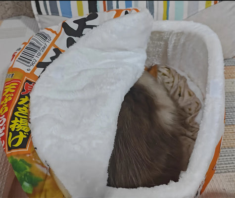Cuteness Overload + Practicality? Yes Please!
