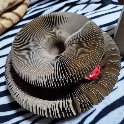 Obsessed with This Cat Ball Toy!