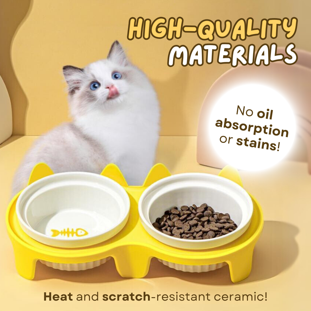 Elevated Ceramic Cat Bowl