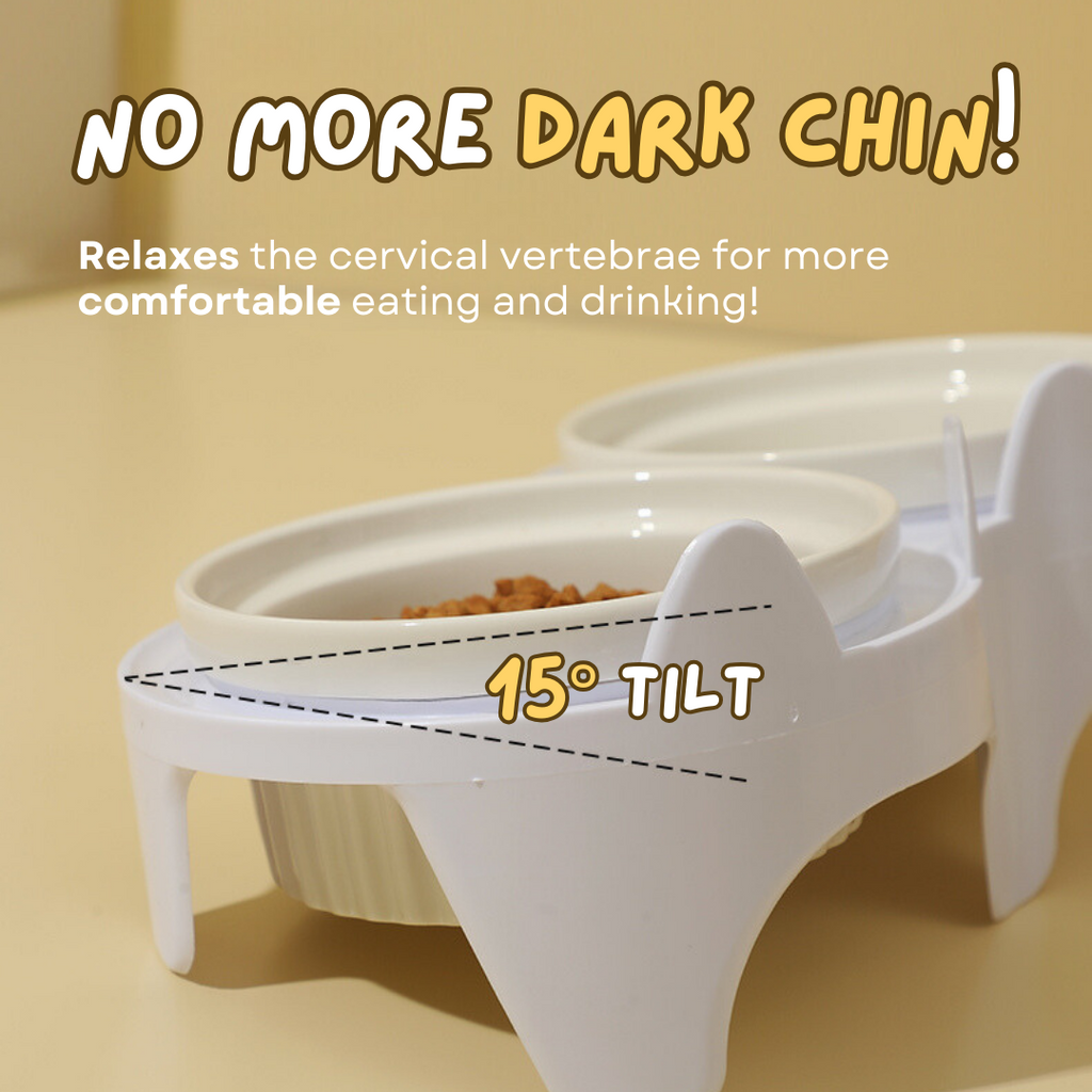 Elevated Ceramic Cat Bowl
