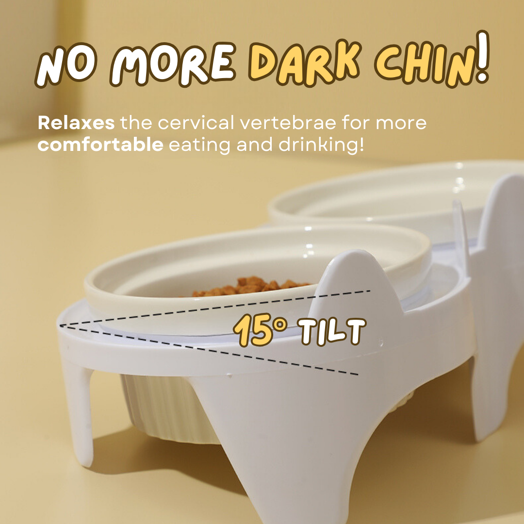 Elevated Ceramic Cat Bowl