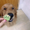 Cute & Tasty—My Kitty’s New Favorite!