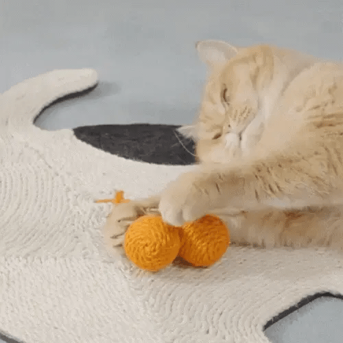 This Elephant Scratch Pad Fixes Unruly Scratching Perfectly!