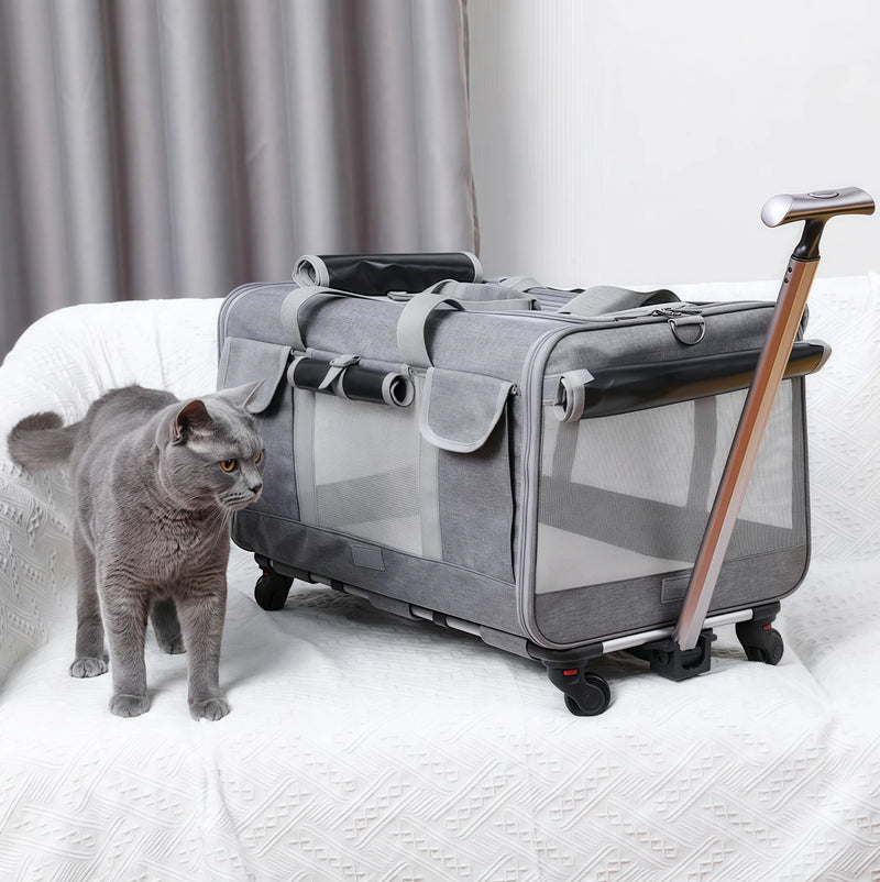 Taking Your Fur Baby Out Is So Easy!