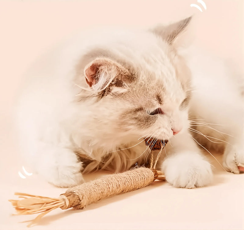 Wow! A Natural Teething Toy for Your Fur Baby!