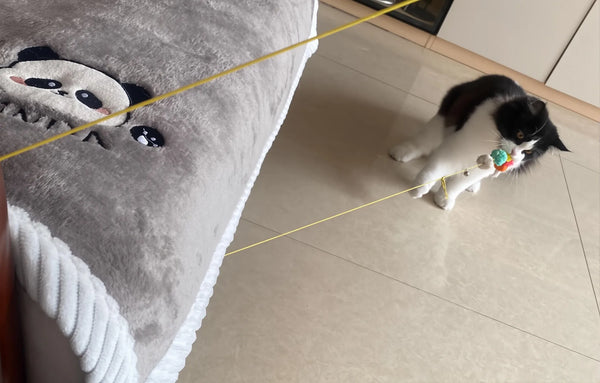 Perfect for My Kitten’s Hunting Instincts!