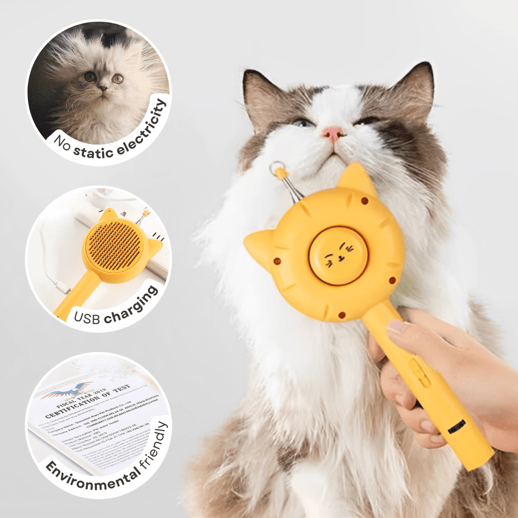 All - in - 1 Cat Brush - MaoMao - Paws