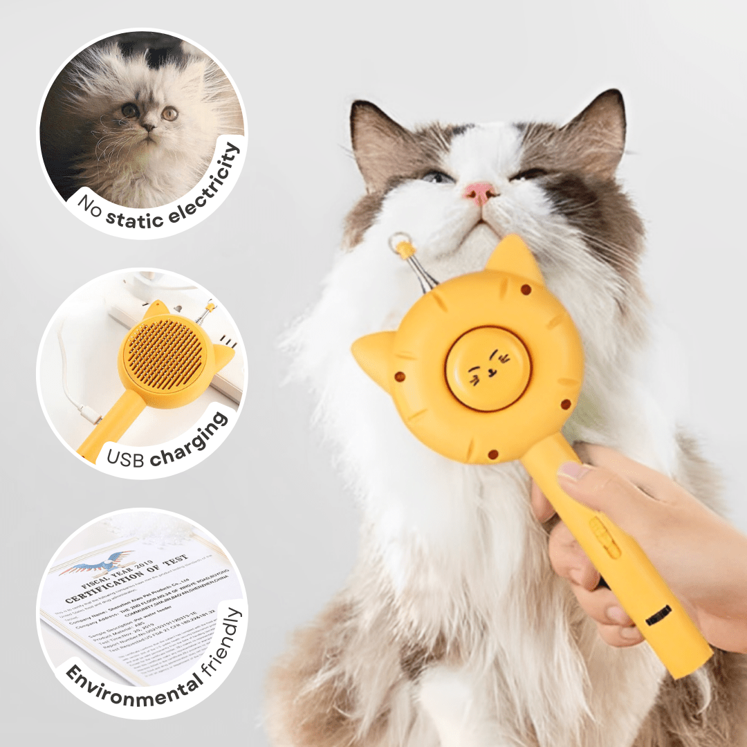 All - in - 1 Cat Brush - MaoMao - Paws