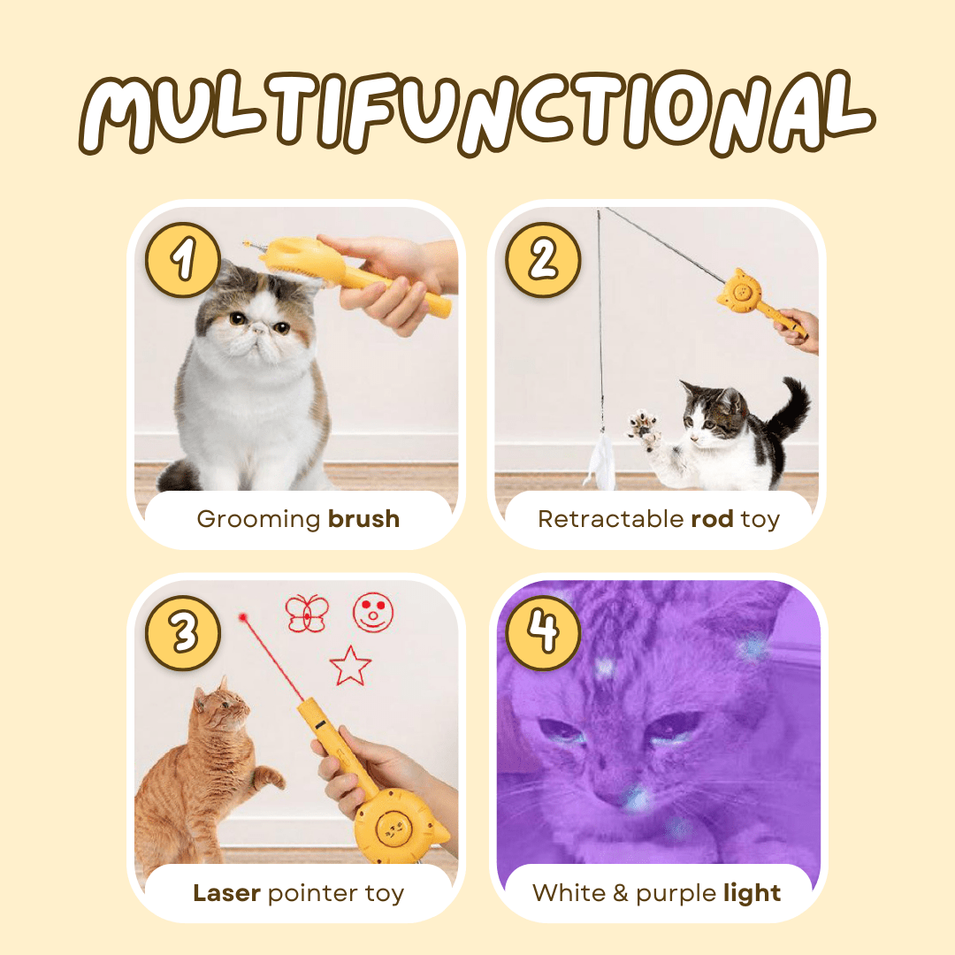 All - in - 1 Cat Brush - MaoMao - Paws
