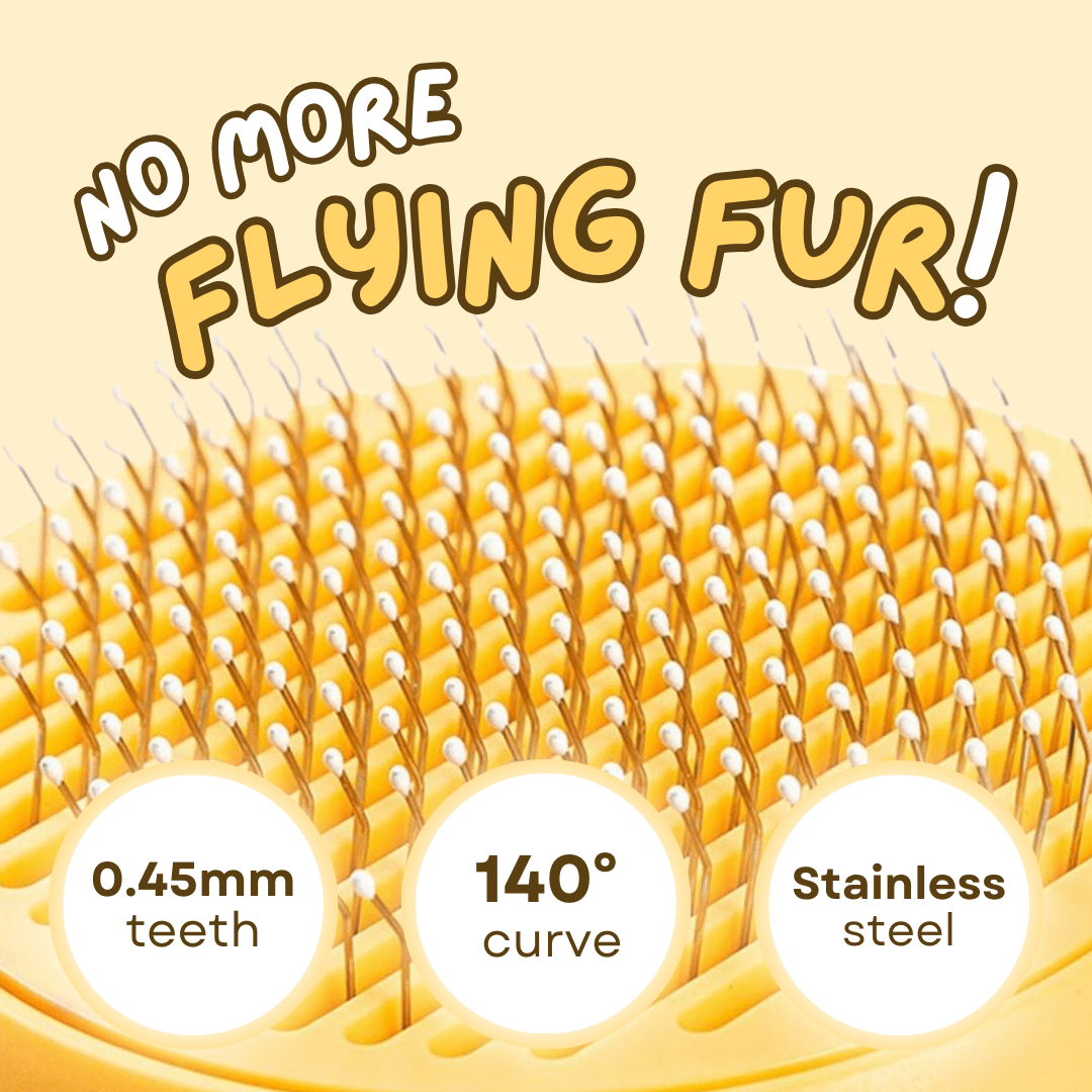 All - in - 1 Cat Brush - MaoMao - Paws