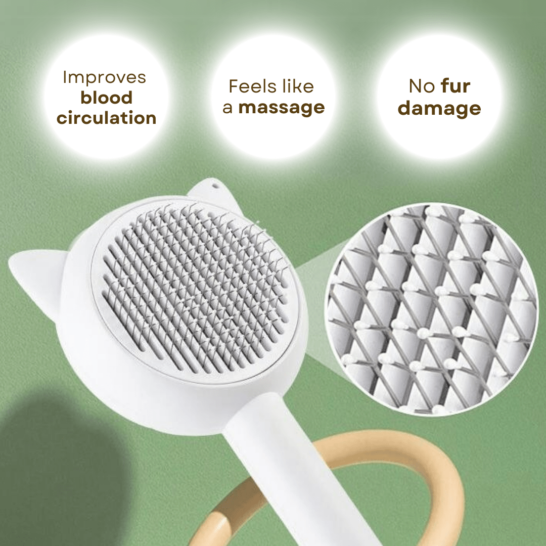All - in - 1 Cat Brush - MaoMao - Paws