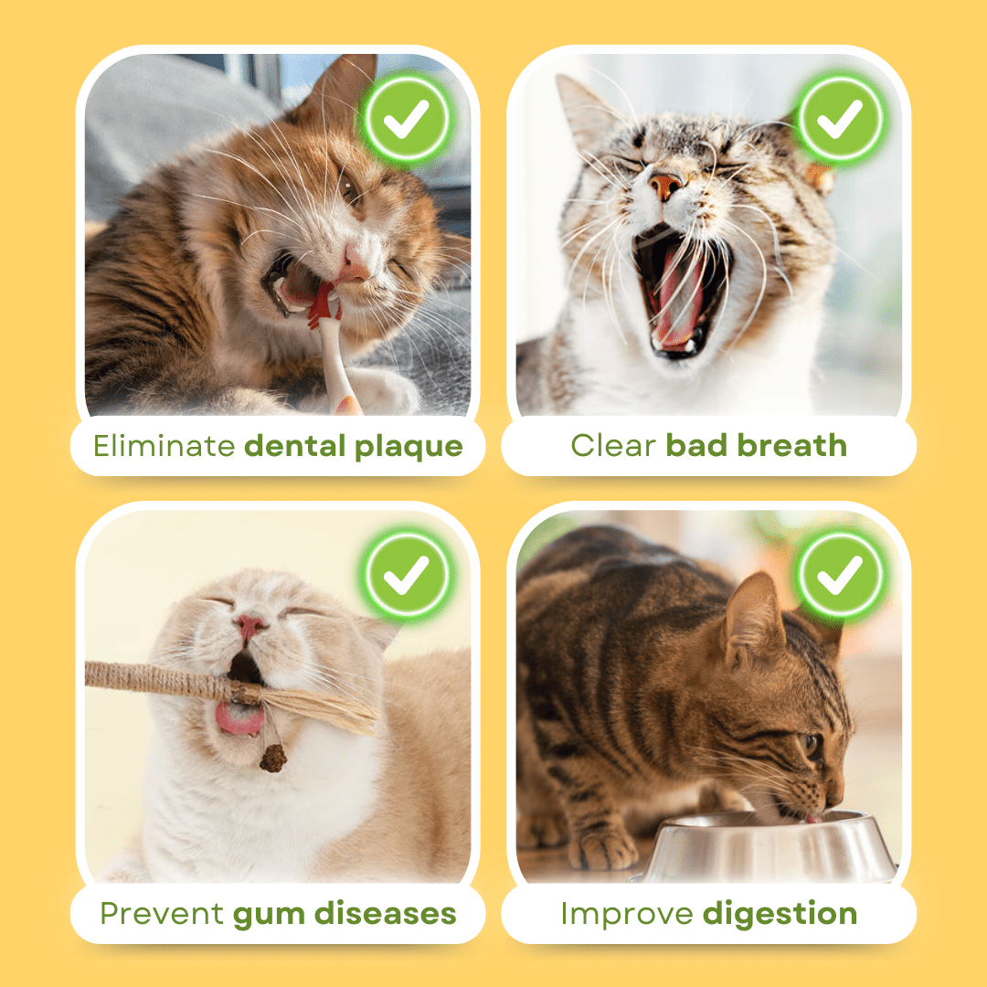 All Natural Teething Toy (3 Pcs) - MaoMao - Paws