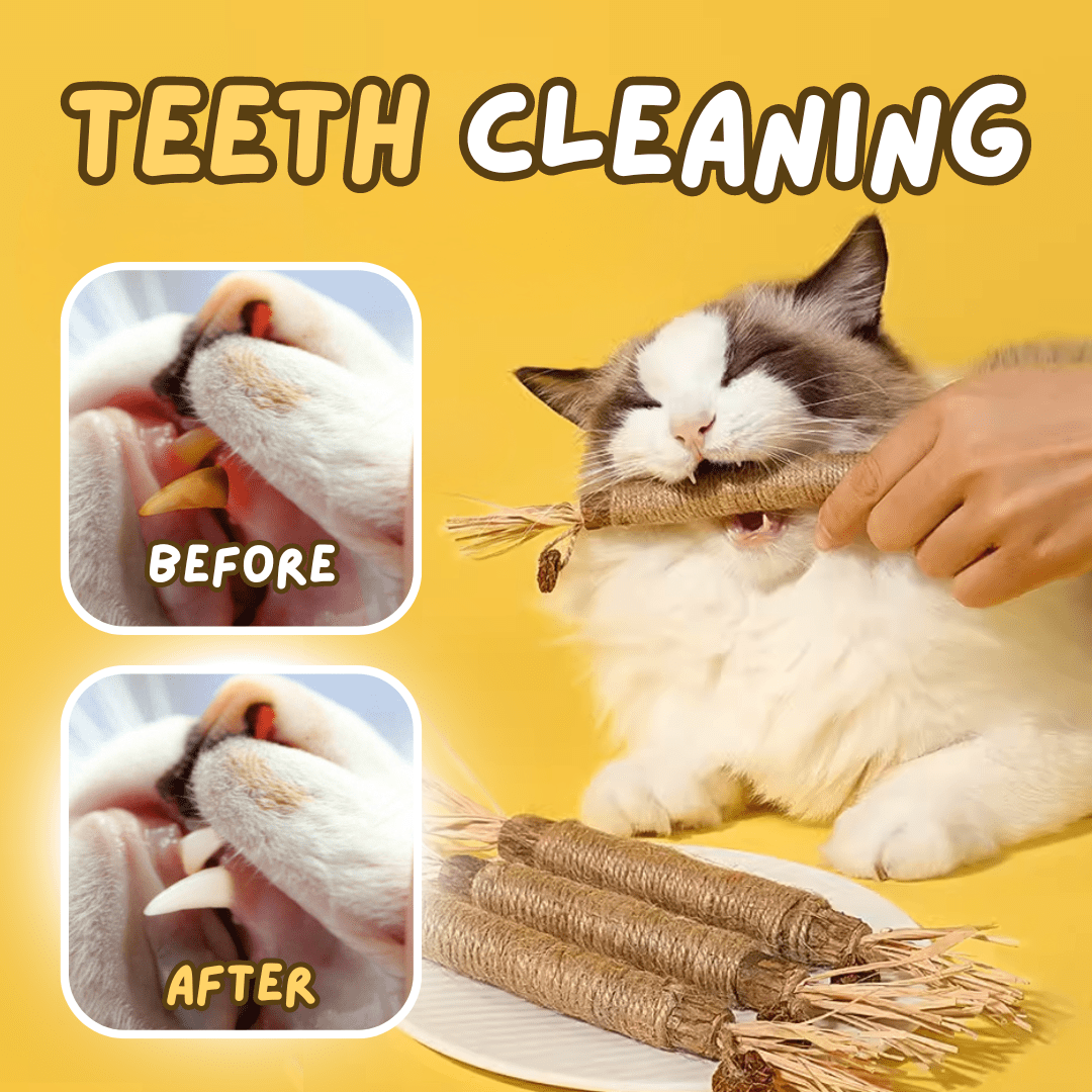 All Natural Teething Toy (3 Pcs) - MaoMao - Paws