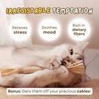 All Natural Teething Toy (3 Pcs) - MaoMao - Paws