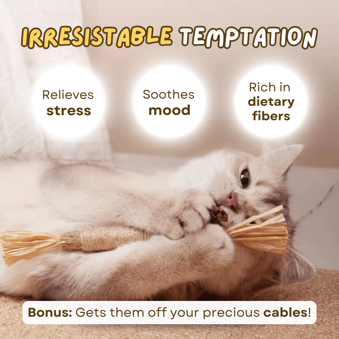 All Natural Teething Toy (3 Pcs) - MaoMao - Paws