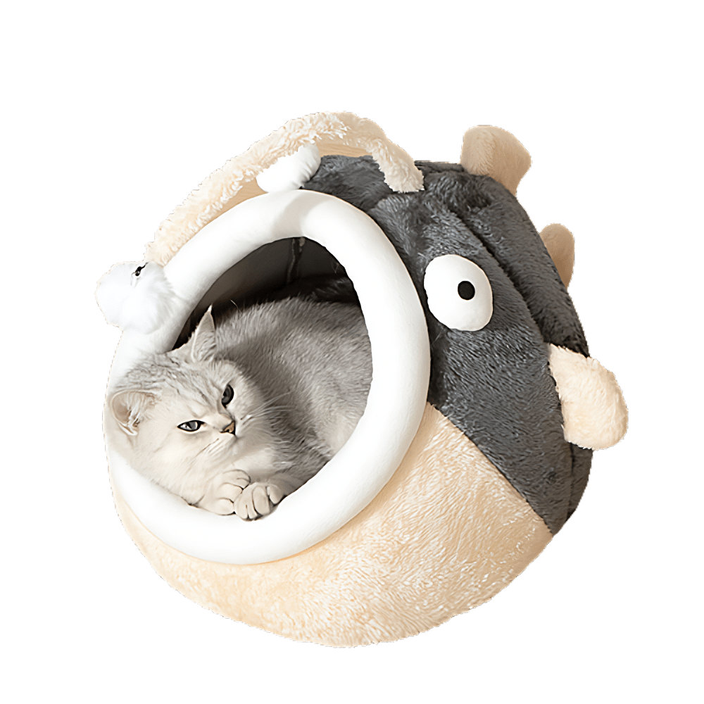 Angler Fish Bed - MaoMao - Paws
