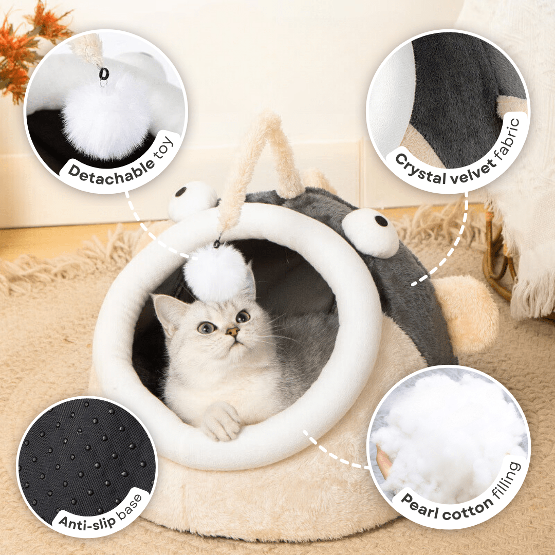 Angler Fish Bed - MaoMao - Paws