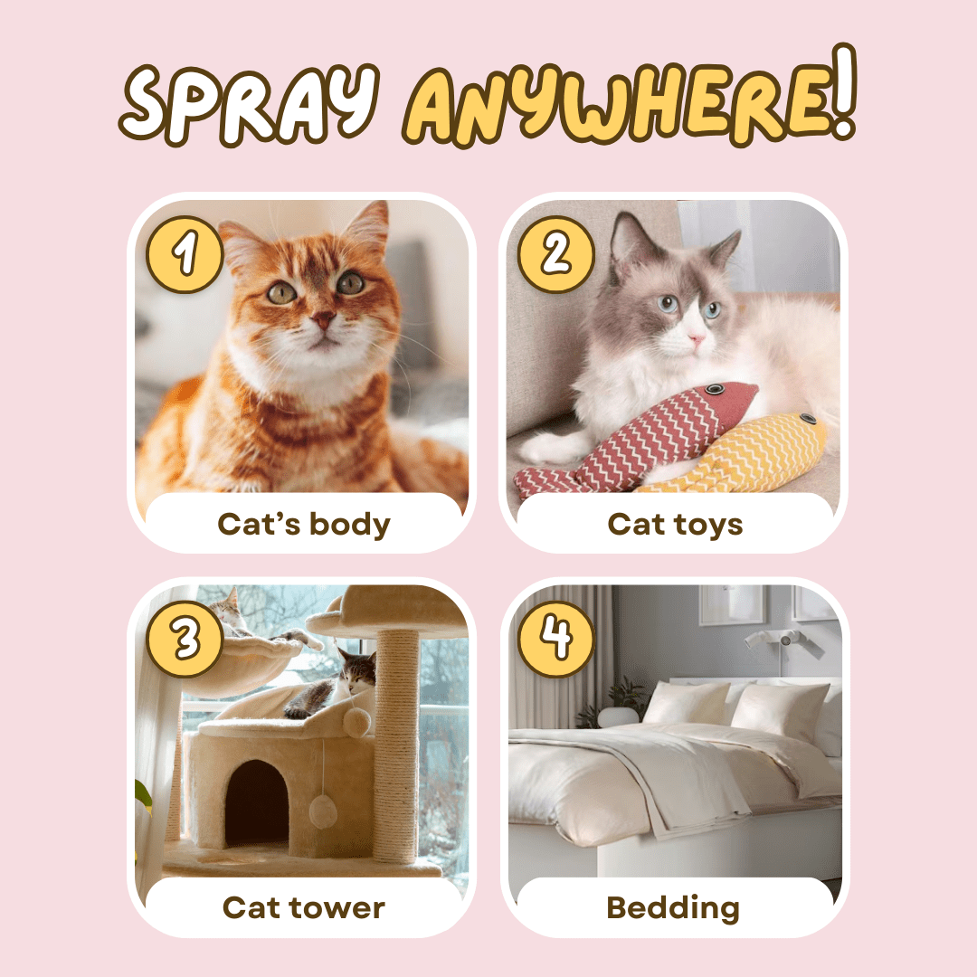 Anti - Mite Spray - MaoMao - Paws