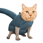 Astronaut Drying Suit - MaoMao - Paws