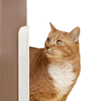 Auto Door Opener - MaoMao - Paws