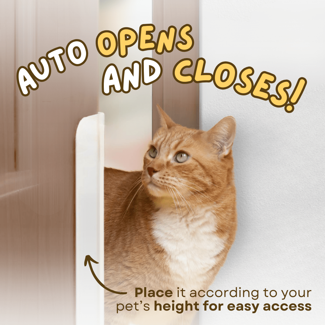 Auto Door Opener - MaoMao - Paws