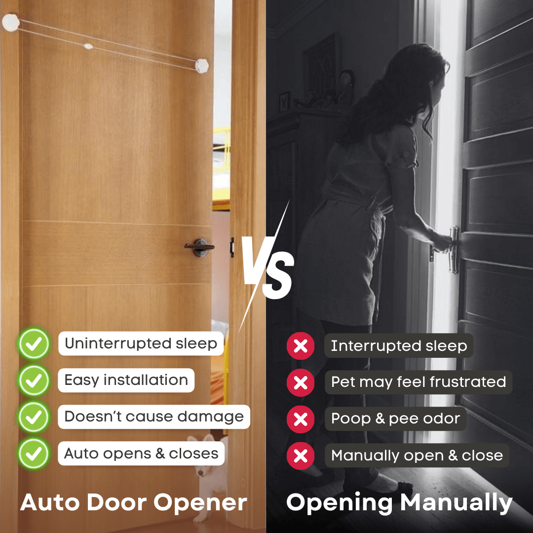 Auto Door Opener - MaoMao - Paws