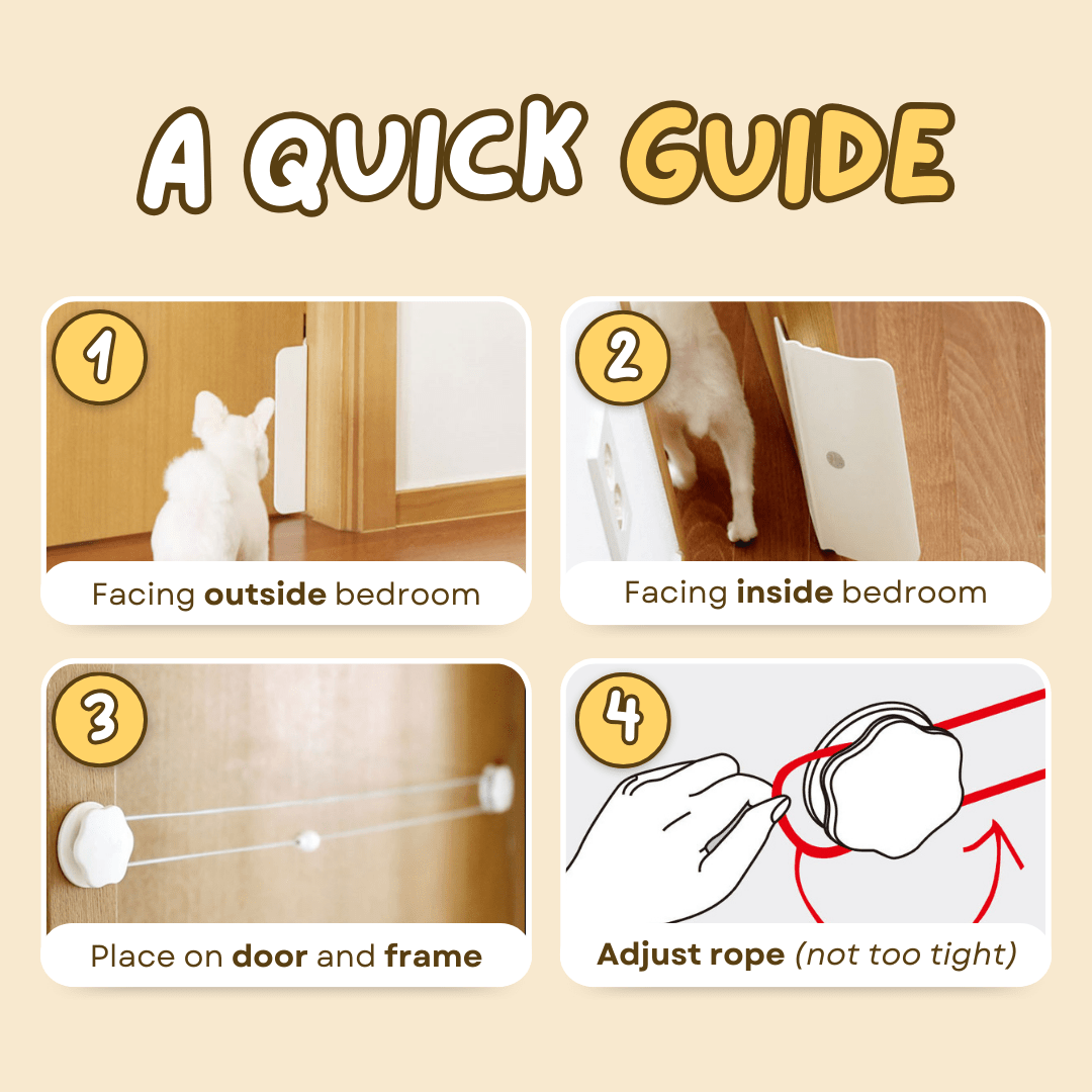 Auto Door Opener - MaoMao - Paws