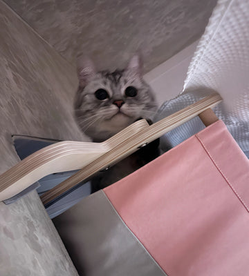 Cute, Practical, and Mochi Won’t Leave It!