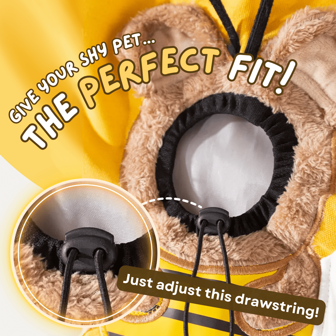 Bee Cat Bag - MaoMao - Paws