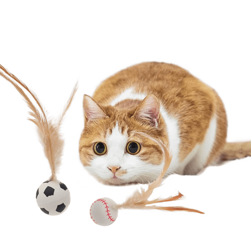 Bouncy Feather Toy - MaoMao - Paws