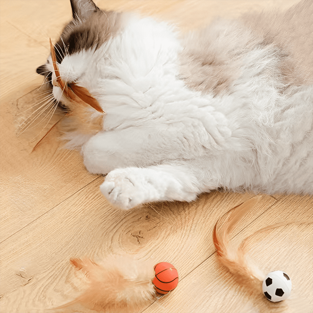 Bouncy Feather Toy - MaoMao - Paws