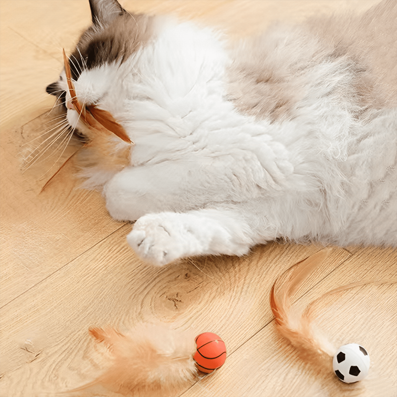 Bouncy Feather Toy - MaoMao - Paws