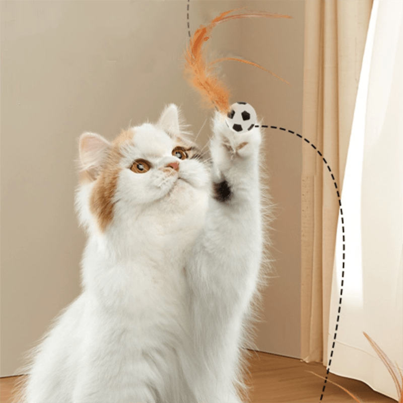 Bouncy Feather Toy - MaoMao - Paws