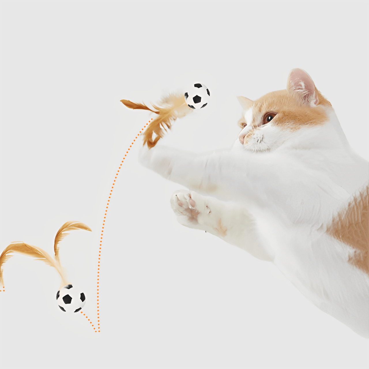 Bouncy Feather Toy - MaoMao - Paws