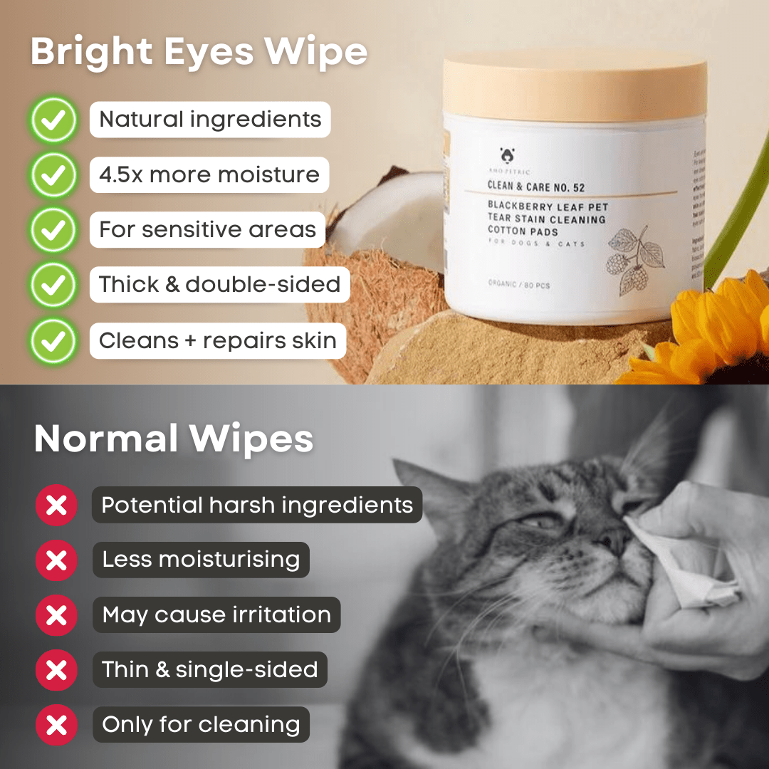 Bright Eyes Wipe - MaoMao - Paws