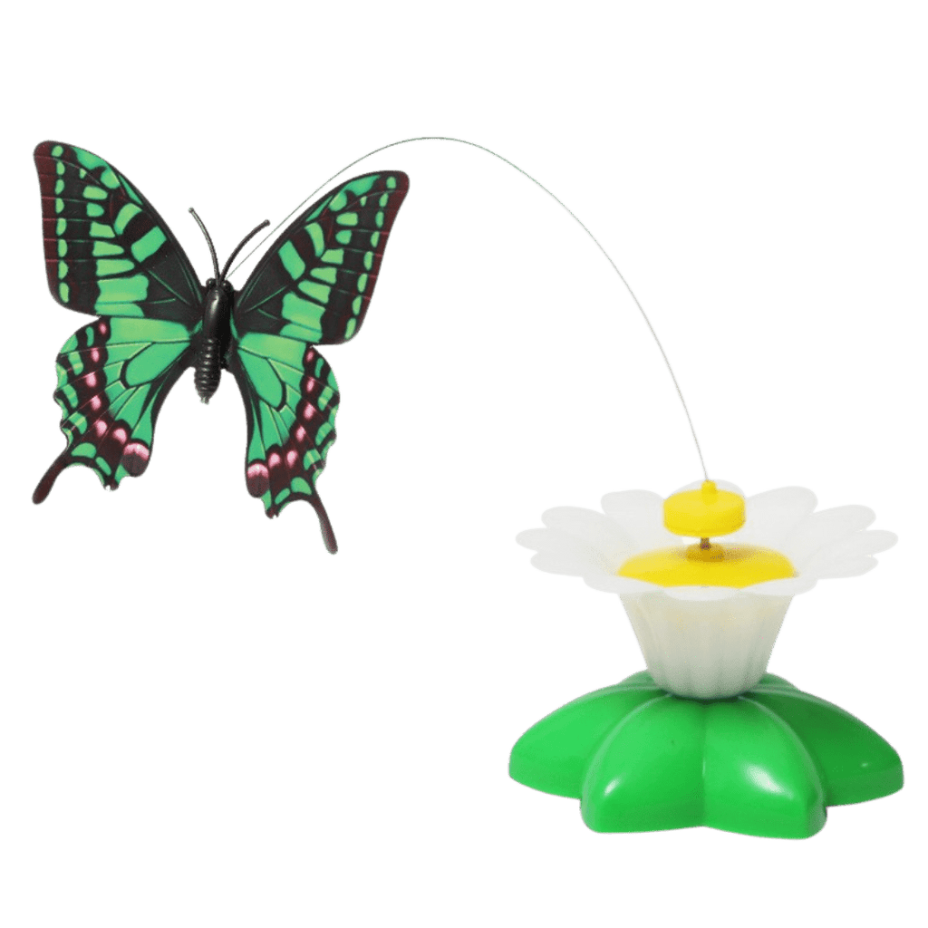 Buzzing Bird Toy - MaoMao - Paws