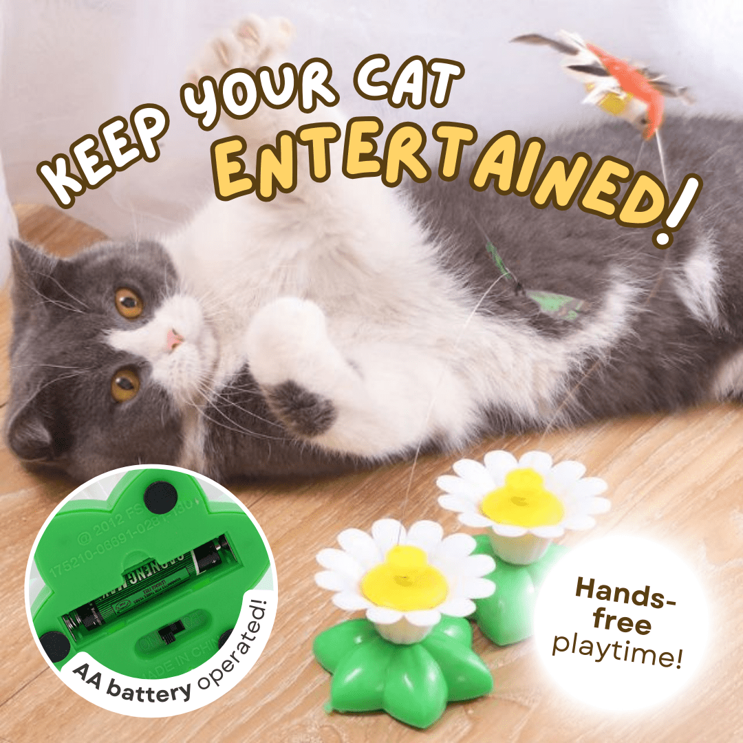 Buzzing Bird Toy - MaoMao - Paws