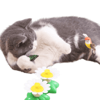 Buzzing Bird Toy - MaoMao - Paws