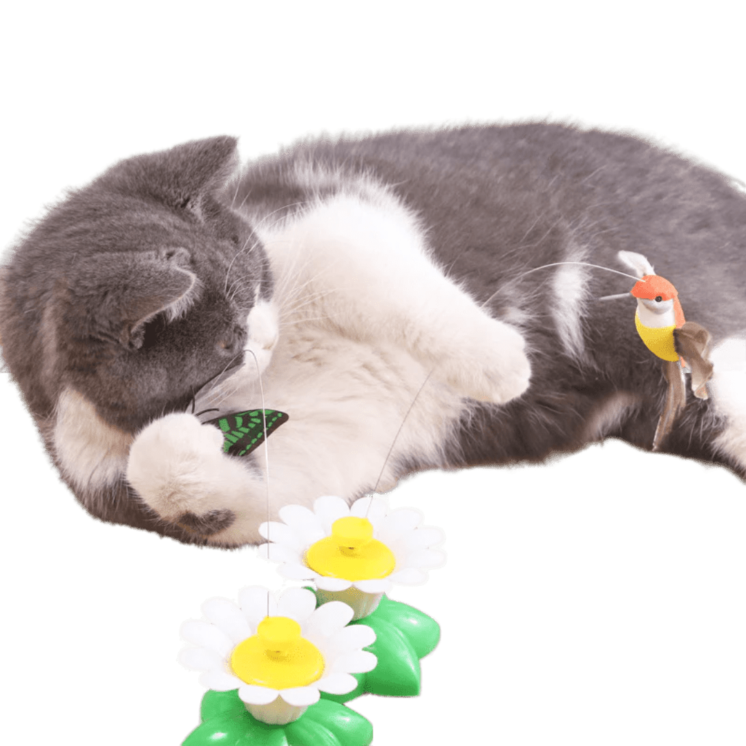 Buzzing Bird Toy - MaoMao - Paws