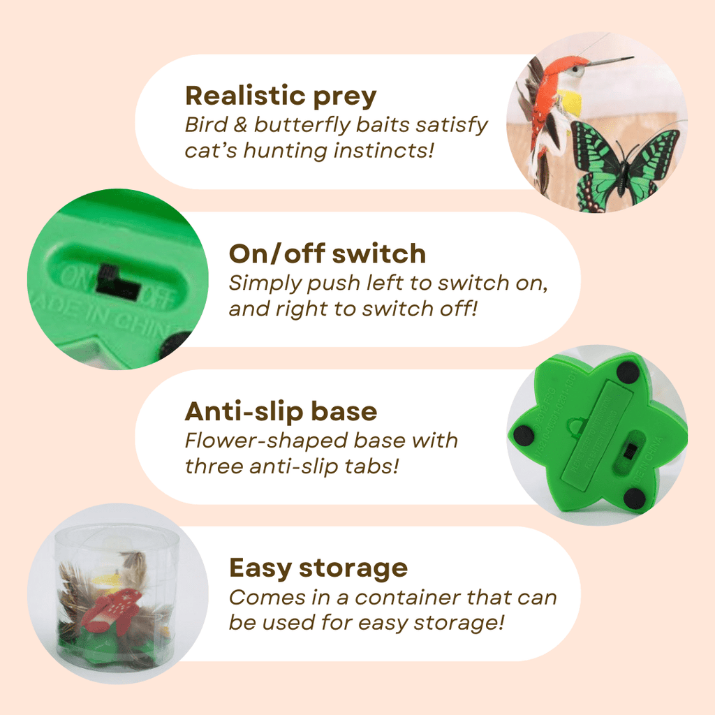 Buzzing Bird Toy - MaoMao - Paws