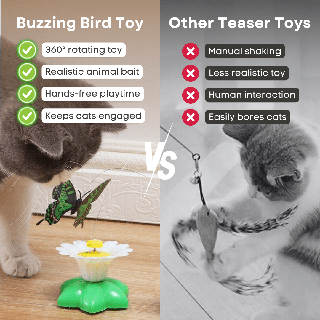 Buzzing Bird Toy - MaoMao - Paws
